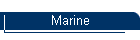 Marine